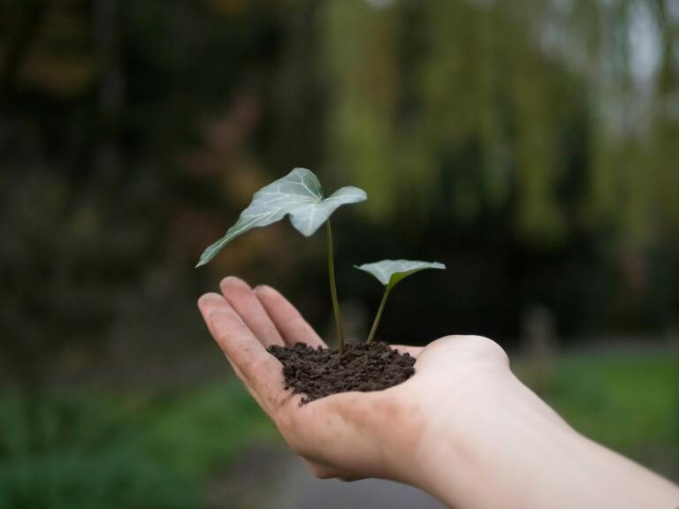 Política Medioambiental