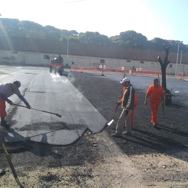 Proyecto Coto